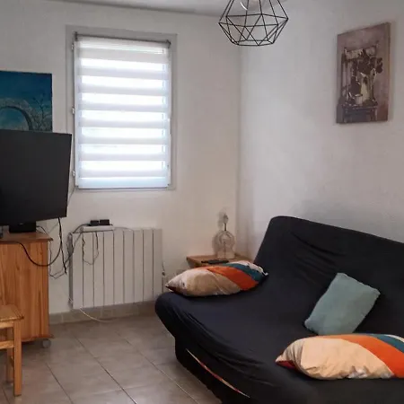 Vakantiehuis Magnifique Maison Familiale Au Mas Des Vignes F4 Tres Bien Equipee 8pers Terrasse, Clim, Grande Piscine D'ete Et Piscine Chauffee L'hiver Parking Gratuit *