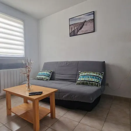 Magnifique Maison familiale au Mas des Vignes F4 très bien équipée 8pers terrasse, clim, grande piscine d'été et piscine chauffée l'hiver parking gratuit Сasa de vacaciones