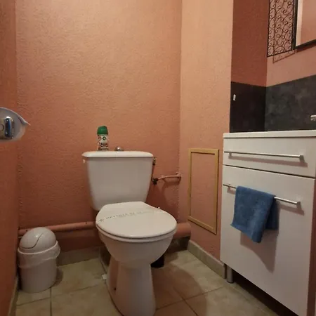 Magnifique Maison Familiale Au Mas Des Vignes F4 Tres Bien Equipee Dans De Privee Ideale Jusqu'a 8pers Terrasse, Clim, Grande Piscine D'ete Et Piscine Chauffee L'hiver Parking Privatif Gratuit Feriehus *