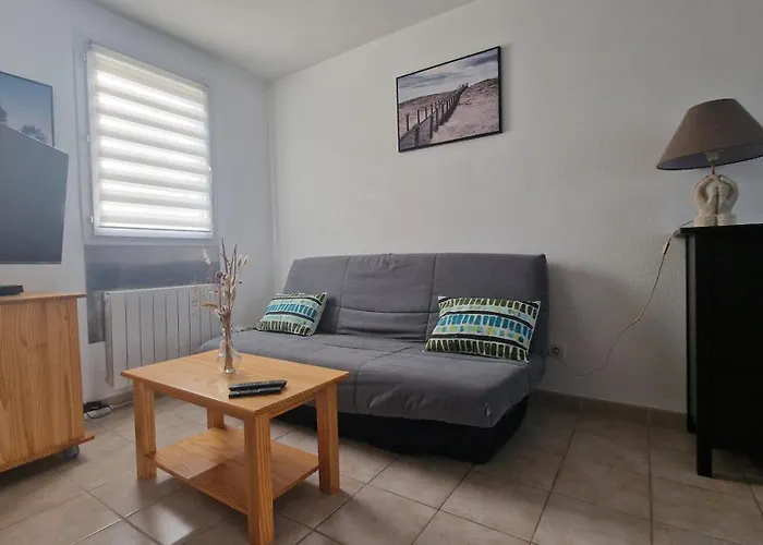Magnifique Maison Familiale Au Mas Des Vignes F4 Très Bien équipée 8pers Terrasse, Clim, Grande Piscine D'été Et Piscine Chauffée L'hiver Parking Gratuit Casa vacanze
