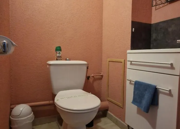 Magnifique Maison Familiale Au Mas Des Vignes F4 Tres Bien Equipee Dans De Privee Ideale Jusqu'a 8pers Terrasse, Clim, Grande Piscine D'ete Et Piscine Chauffee L'hiver Parking Privatif Gratuit Dom wakacyjny *